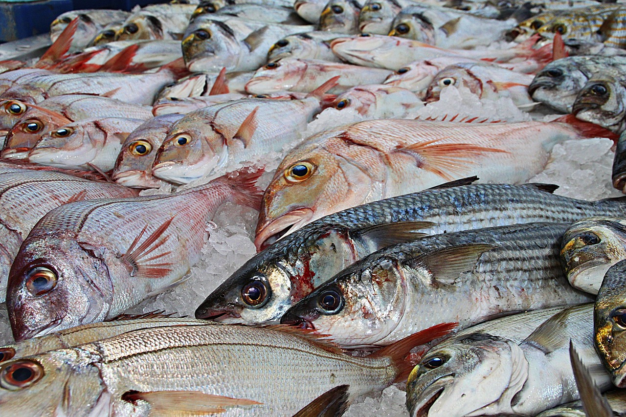 Meeresbrise und fangfrischer Genuss in meinen liebsten Fischrestaurants am Bosporus
