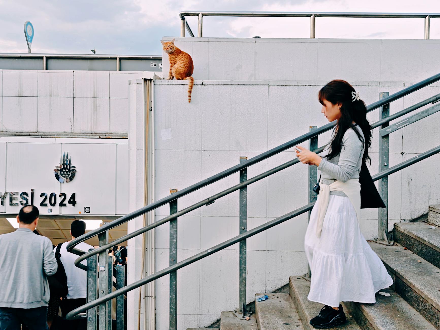 Eine modisch gekleidete Frau geht an einer Katze auf einer Treppe vorbei.
