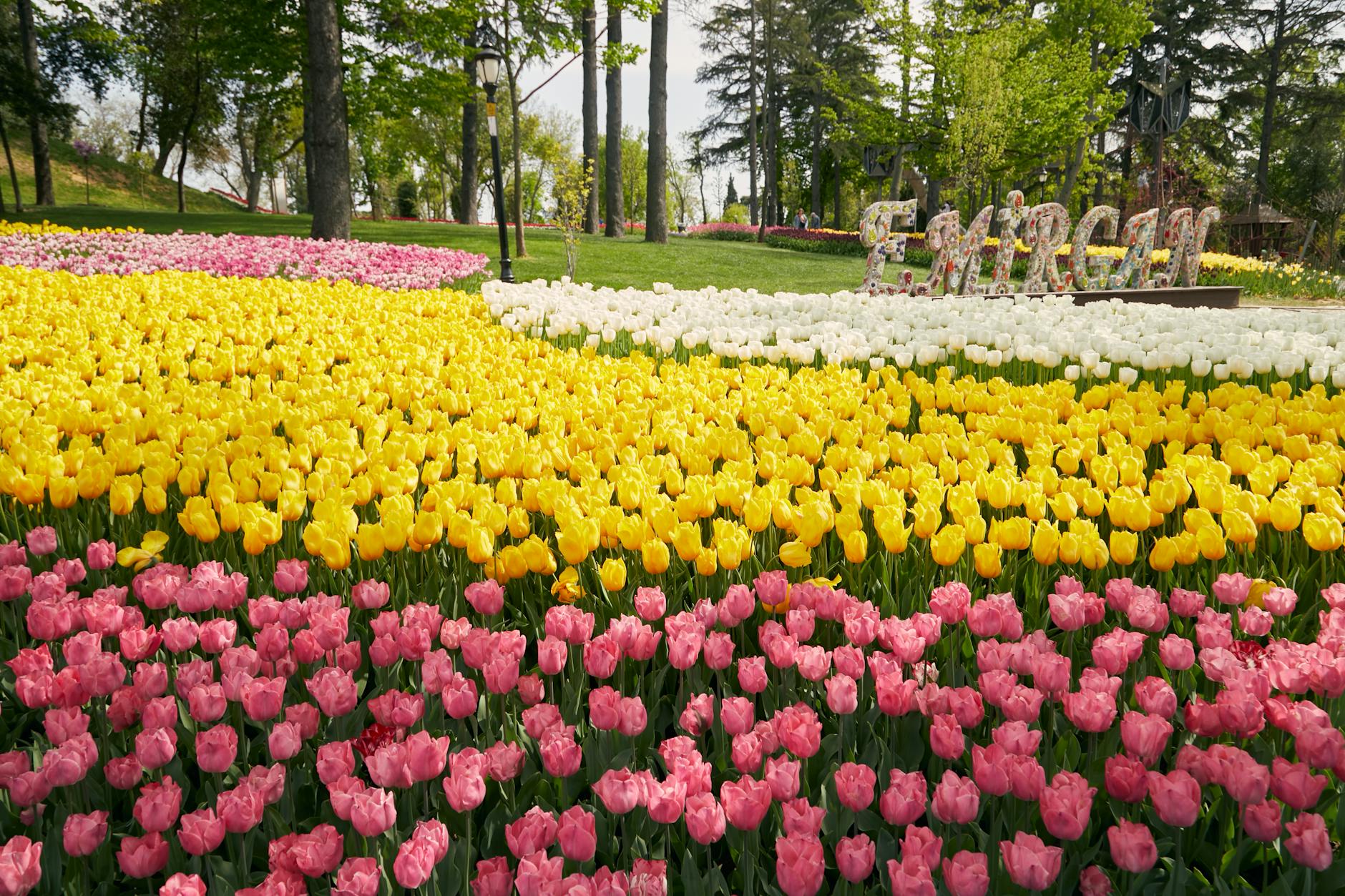 Bunte Tulpenfelder im Emirgan-Park mit dem großen Namenszug des Parks im Hintergrund.