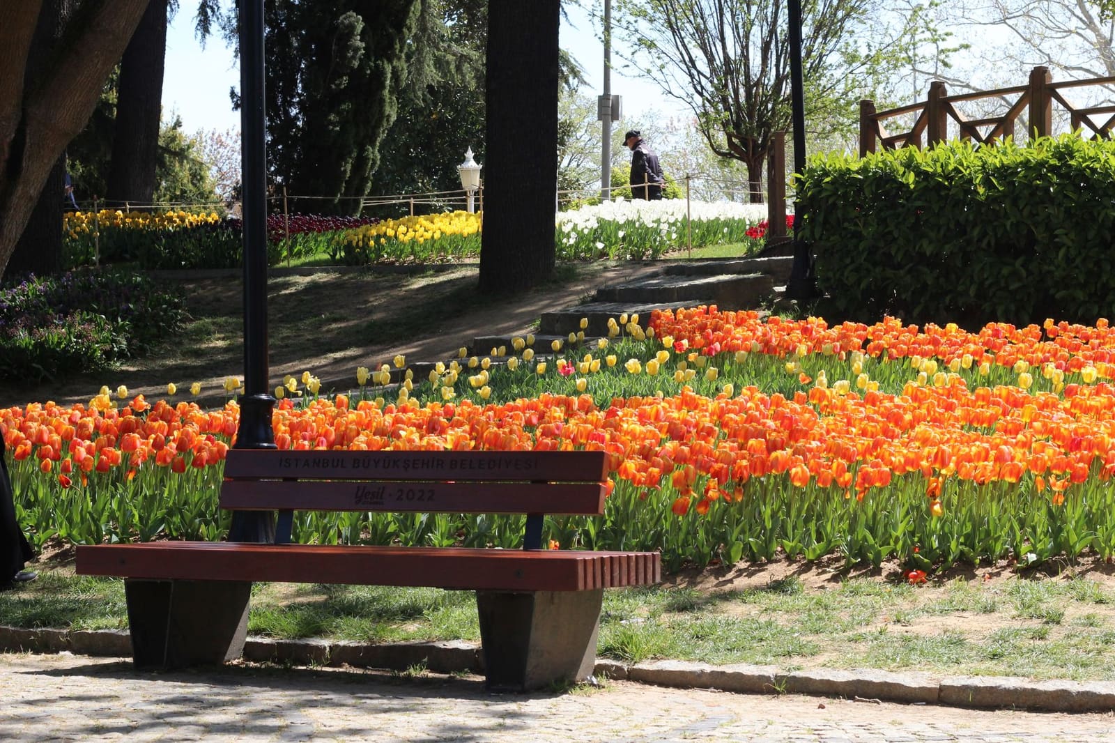 Eine Holzbank vor blühenden Tulpenbeeten in einem Park in Istanbul.